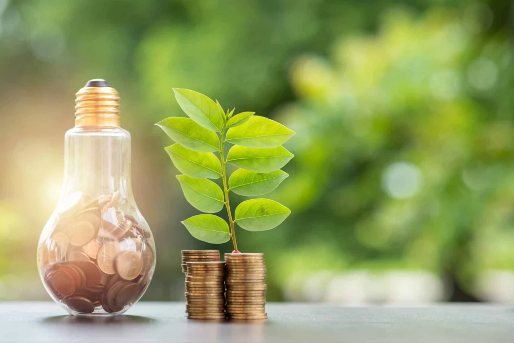 Coins in a light bulb beside a plant growing from a stack of coins