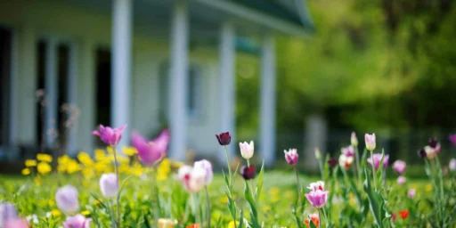 house in the springtime, covered by insurance