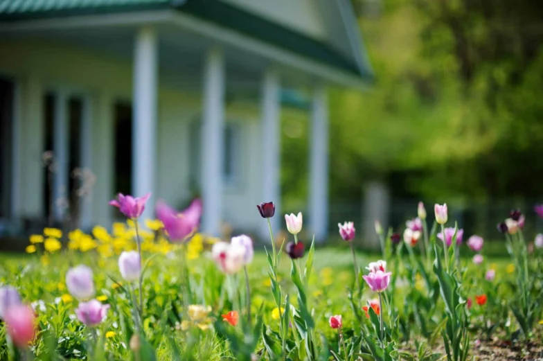 house in the springtime, covered by insurance