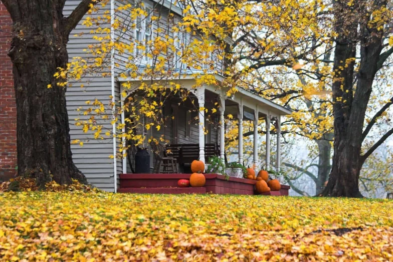 House porch decorated with pumpkins under autumn trees