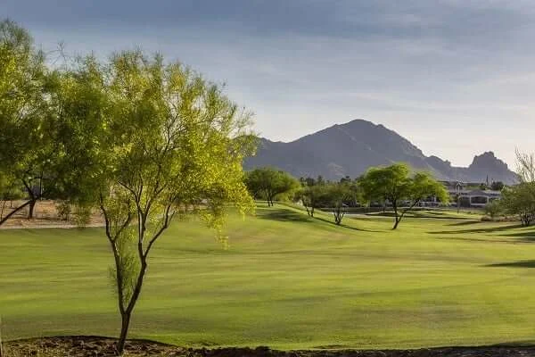 Green golf course with scattered trees, clear sky, and distant mountains in the background.